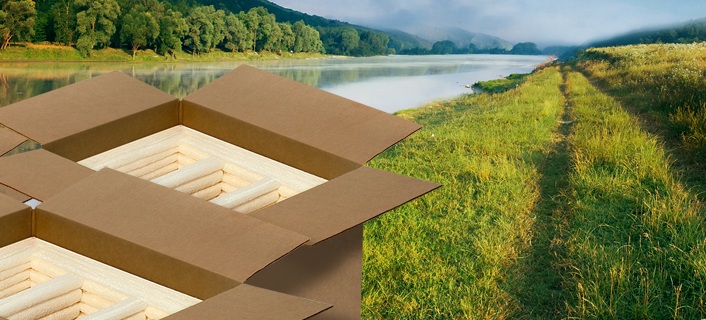 Green Packaging: A Step Towards Sustainable World